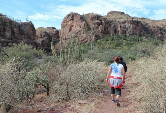 Visitas guiadas unicos
